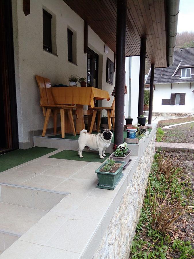 Pénzpataki Vadászház Nagyvisnyó Extérieur photo